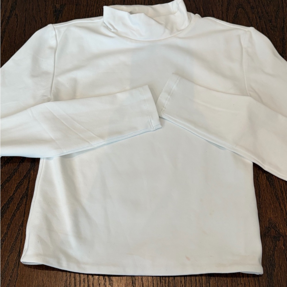 Aritzia Turtleneck Long-Sleeve Top